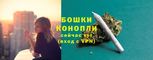 каннабис Белокуриха