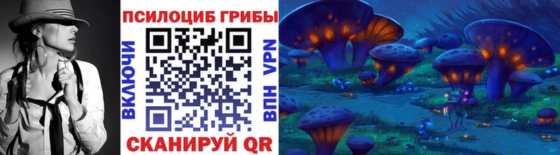 купить наркотики сайты Верещагино Псилоцибиновые грибы Cubensis